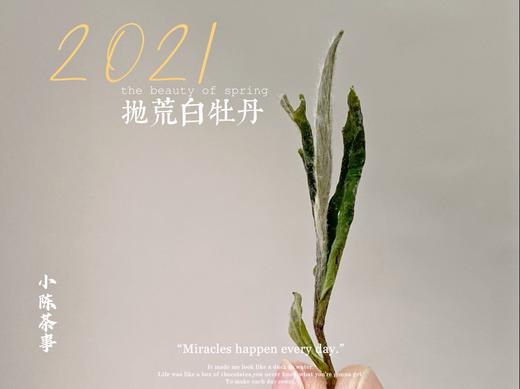 2021抛荒白牡丹来了（非预售那款），毫香浓郁到可以媲美白毫银针（100克罐装） 商品图11