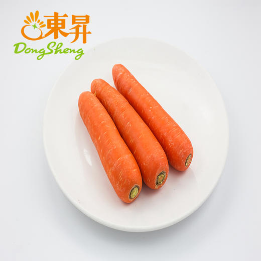 东升农场  胡萝卜红萝卜 青菜萝卜 广州蔬菜新鲜配送 400g 商品图2