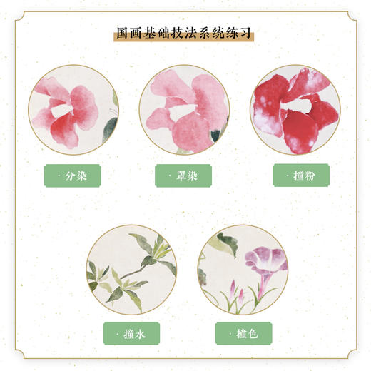 清雅之心 新田小写意 花鸟国画基础教程 商品图3