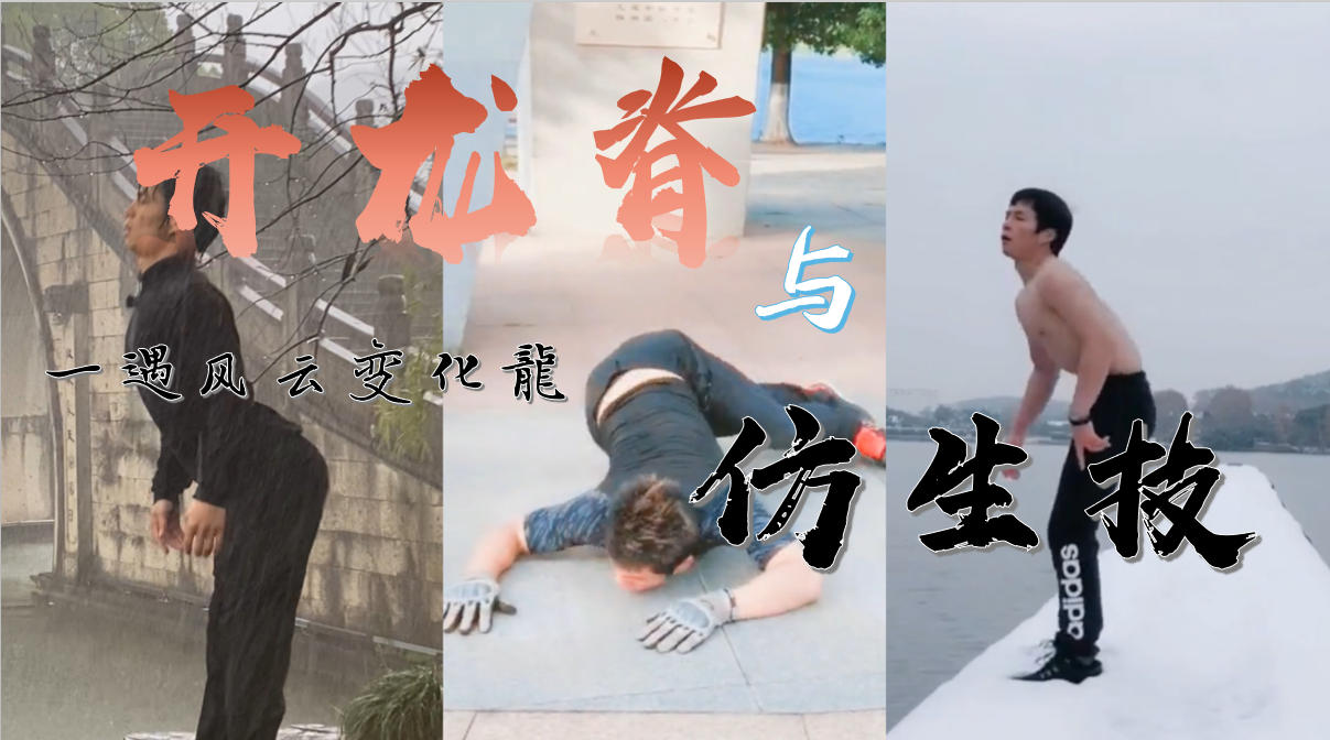 开龙脊与仿生技！腰颈不好多练这个！