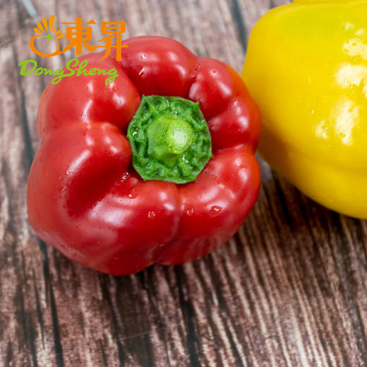 东升农场   彩椒 沙拉圆椒红黄灯笼椒甜辣椒 广州蔬菜配送 400g 商品图2