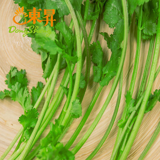 东升农场  香菜 芫茜 广州蔬菜新鲜配送 50g 商品图3