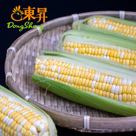 5斤 金银玉米棒子 包谷 粟米 广州蔬菜新鲜配送 5斤 商品图2