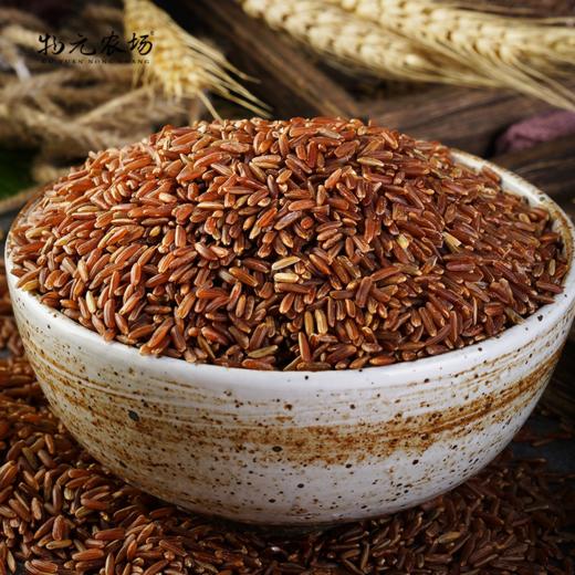 *物元农场有机红米|全胚芽红糙米新米 |健身杂粮饭粗粮主食 商品图2