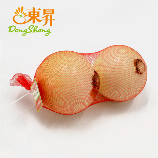 东升农场  黄洋葱 洋葱头 圆葱青菜 广州蔬菜新鲜配送 500g 商品图4