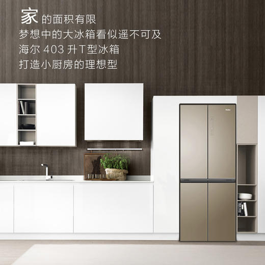 海尔（Haier）冰箱BCD-403WDPT 商品图2