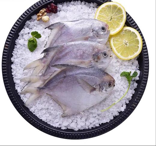 白鲳鱼4条 商品图1