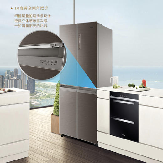 海尔（Haier）冰箱BCD-403WDGR 商品图3