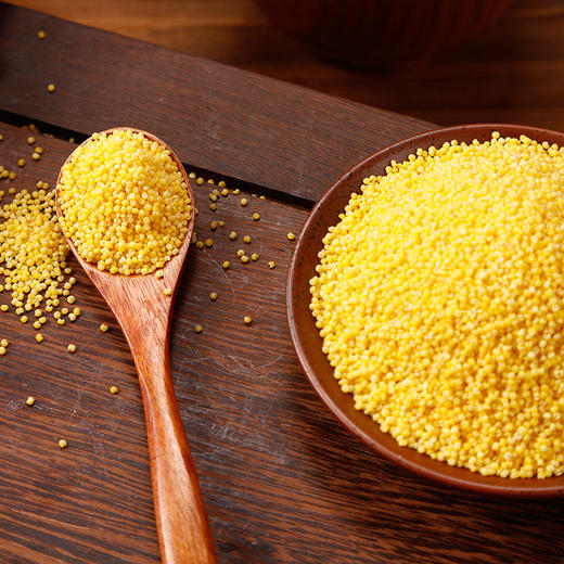 【围场馆】黄小米5斤 养胃宝宝吃的小米 商品图1