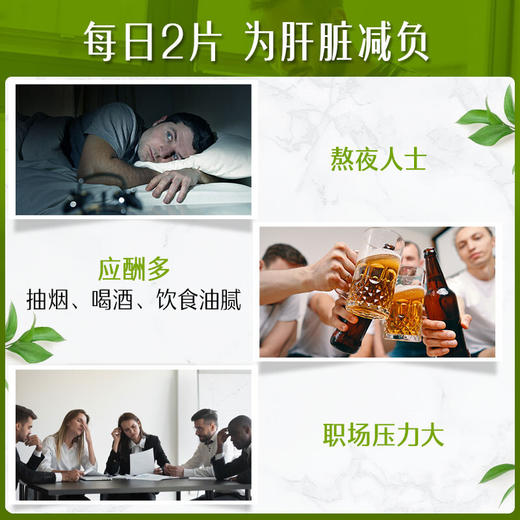 Swisse斯维诗 奶蓟草护肝片120片/瓶 成人养肝护肝 加班熬夜烟酒人士常备 商品图2