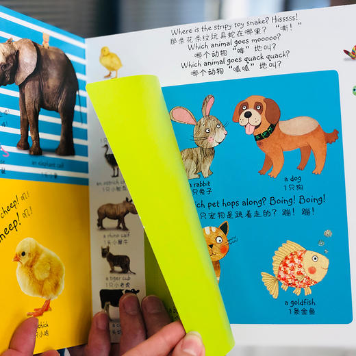 【可点读】DK英汉翻翻小百科（全2册） 商品图7