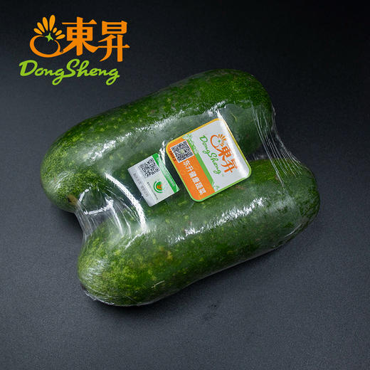 东升农场 毛瓜 节瓜  嫩瓜 北瓜 广州蔬菜新鲜配送 500g 商品图4