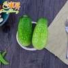 东升农场 毛瓜 节瓜  嫩瓜 北瓜 广州蔬菜新鲜配送 500g 商品缩略图1