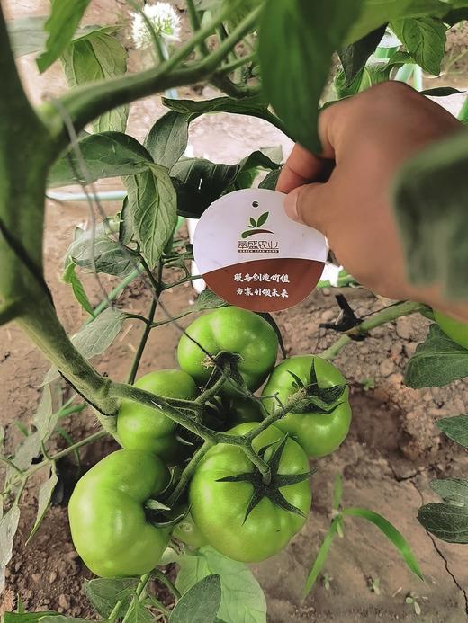 如何解决重茬问题2 商品图0