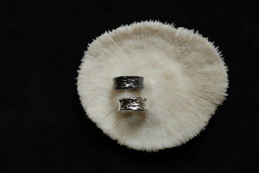 CHEZ BOQUE 覆盖系列原创手工925银戒指《银纱》 商品图1