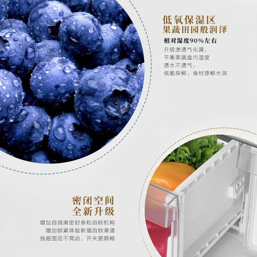 海尔（Haier）冰箱BCD-403WDGR 商品图5