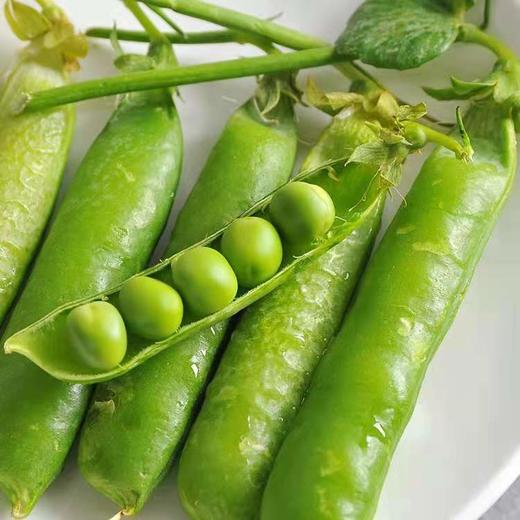 甜豆（带壳） 约500克 商品图2