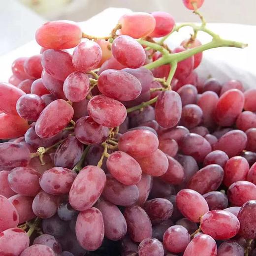 红提（绿生源） 商品图2