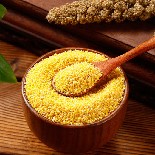 【围场馆】黄小米5斤 养胃宝宝吃的小米 商品图3