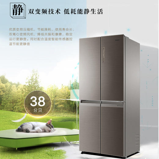 海尔（Haier）冰箱BCD-403WDGR 商品图8