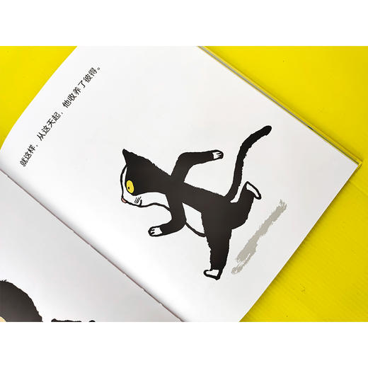 一只直立行走的猫 商品图2