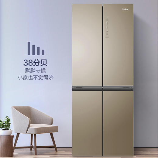 海尔（Haier）冰箱BCD-403WDPT 商品图8