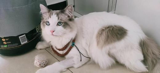 京东卡批改 商品图0