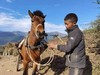 【行摄川东南】大凉山彝族村寨、冕宁绿皮火车、多项非遗技艺7日摄影团 商品缩略图4