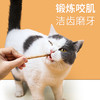爱立方冻干棒 猫咪零食冻干零食 鸡肉猫磨牙棒 商品缩略图3