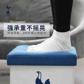 正品托特纳姆热刺足球运动休闲收纳箱创意学生家用储物凳THFCCD03701