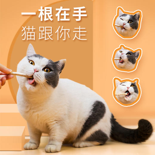 爱立方冻干棒 猫咪零食冻干零食 鸡肉猫磨牙棒 商品图2