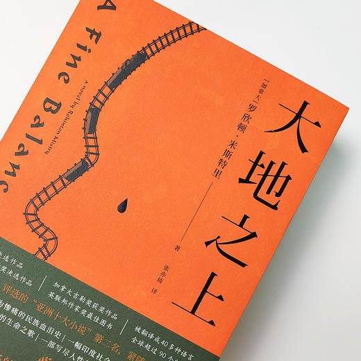 大地之上 商品图2