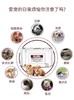 【临期】KOJIMA湿巾免洗手套猫咪狗狗清洁套湿巾除臭味去泪痕宠物专用湿纸巾80片（保质期到2023/3/7） 商品缩略图2