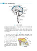 脑脊液细胞学图谱及临床诊断思路 许绍强 主编 脑脊液细胞学内科学书籍 图谱解读和案例分析 人民卫生出版社9787117313445 商品缩略图3