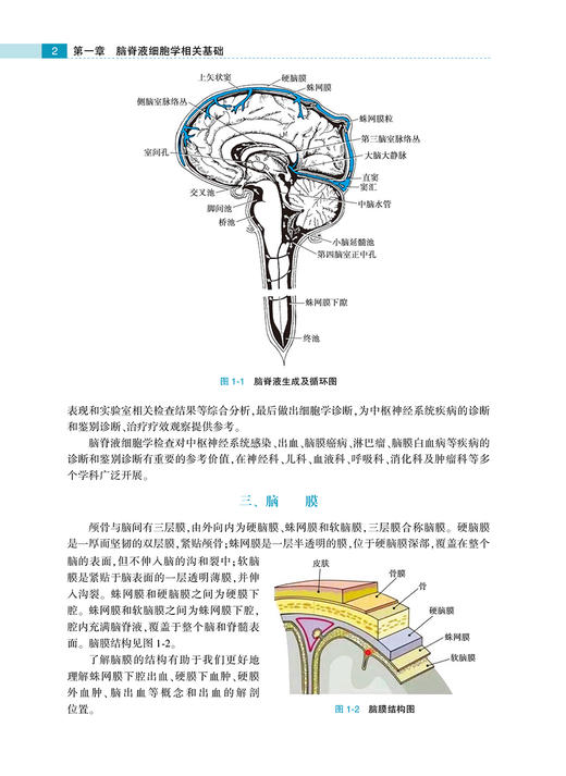 脑脊液细胞学图谱及临床诊断思路 许绍强 主编 脑脊液细胞学内科学书籍 图谱解读和案例分析 人民卫生出版社9787117313445 商品图3