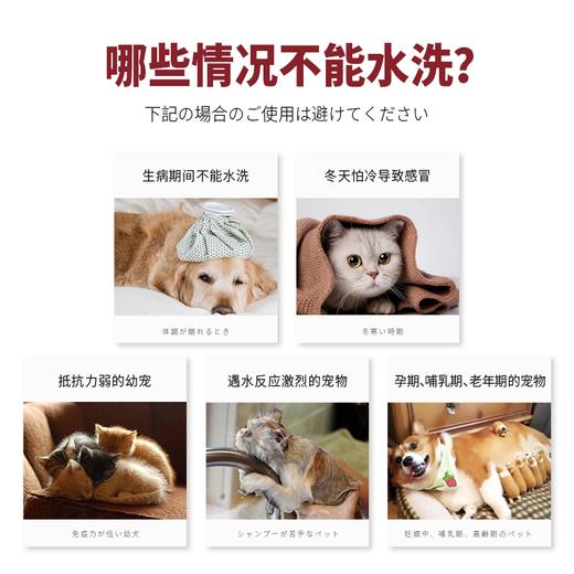 日本kojima猫咪免洗泡沫犬猫通用190ml 商品图3