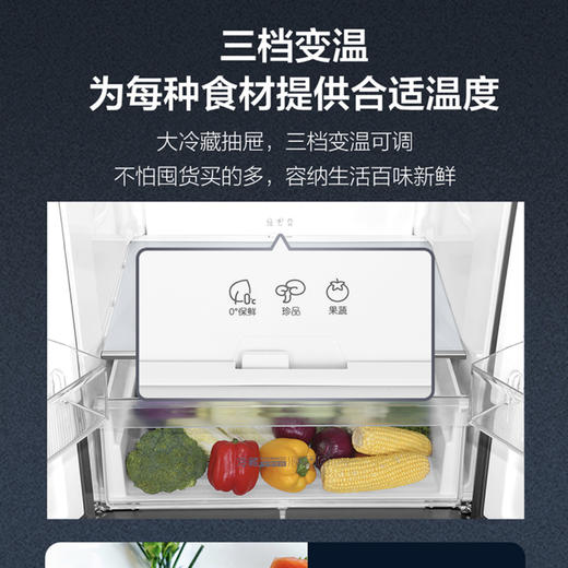 海尔（Haier）冰箱BCD-403WDPT 商品图7