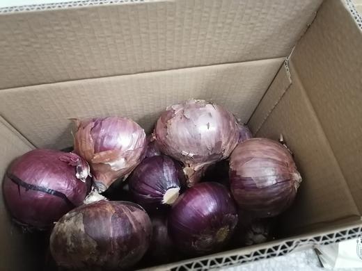 良道天成   有机洋葱   初夏的甜辣   一口上头 商品图3