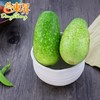 东升农场 毛瓜 节瓜  嫩瓜 北瓜 广州蔬菜新鲜配送 500g 商品缩略图2