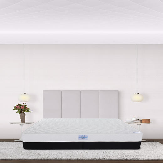 Sealy丝涟床垫  飞鸟 商品图0