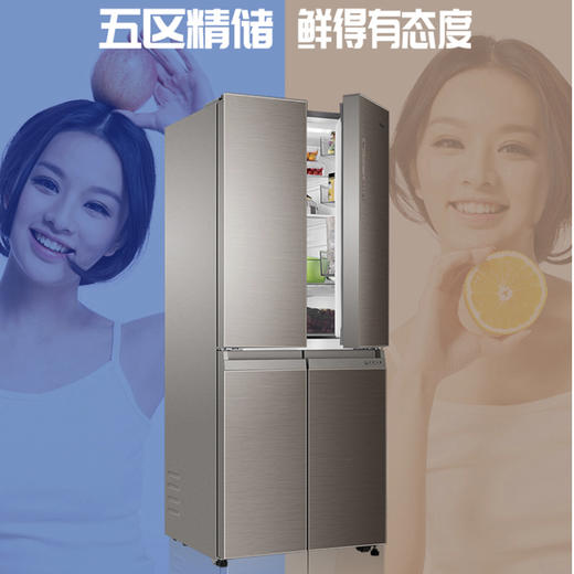 海尔（Haier）冰箱BCD-403WDGR 商品图0