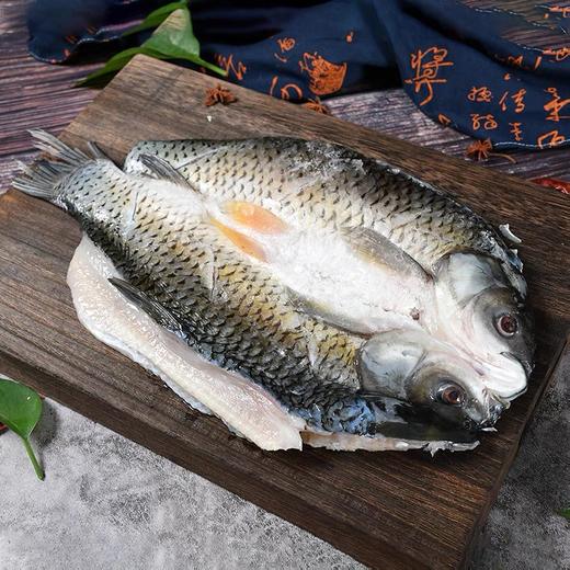 青鱼1条 商品图1