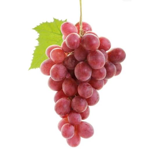 2025 澳洲无籽提 商品图2