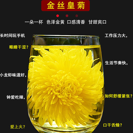 金丝皇菊  30朵/袋*10 商品图2
