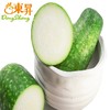 东升农场 毛瓜 节瓜  嫩瓜 北瓜 广州蔬菜新鲜配送 500g 商品缩略图3