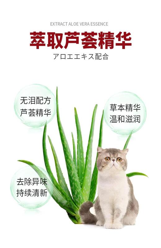 KOJIMA宠物去泪痕湿巾擦眼睛精油棉签耳部清洁耳螨洁齿湿巾猫狗用 商品图3