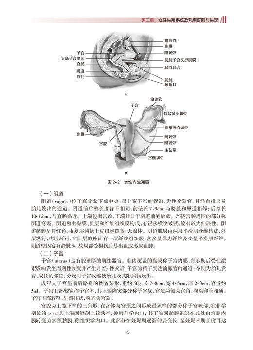 中华护理学会专科护士培训教材 产科专科护理 姜梅 罗碧如 主编 产科学护理培训教材书籍 人民卫生出版社9787117313186 商品图4