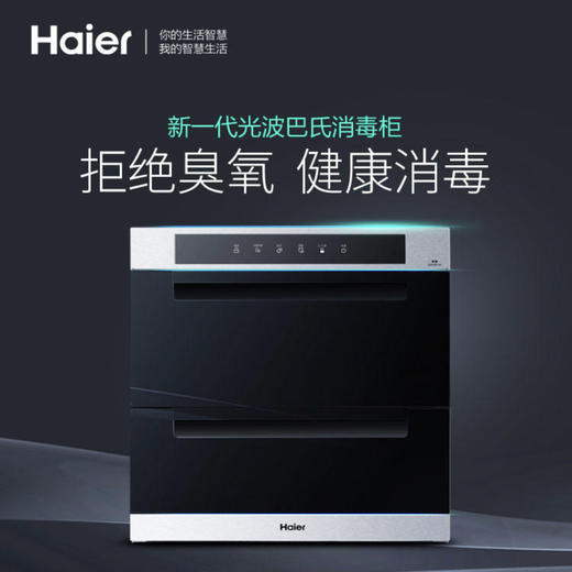 海尔（Haier）消毒柜ZQD100F-20 商品图0