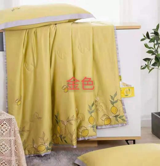 夏凉蚕蛹蛋白双人夏凉被 商品图0