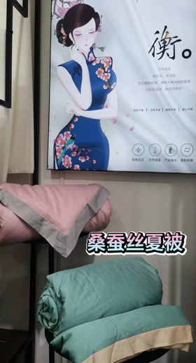 夏凉亚棉桑蚕丝双人夏凉被0.6斤